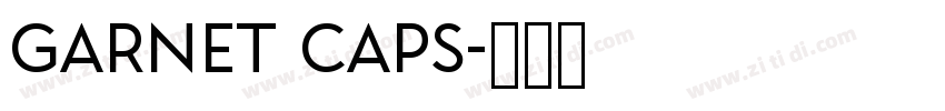 GARNET CAPS字体转换